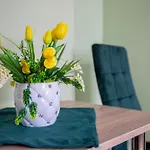 Apartamento U Zabki *